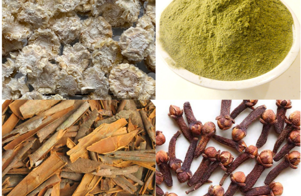 Khảo sát một số chỉ tiêu vệ sinh an toàn thực phẩm ảnh hưởng đến chất lượng nguồn nguyên liệu sản xuất trà lõi ngô